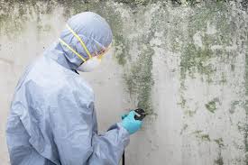 Mold Remediation for Rental Properties in New Buffalo, MI